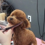 개예쁨주의