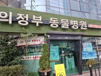 의정부종합동물병원