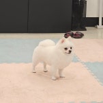 개예쁨주의