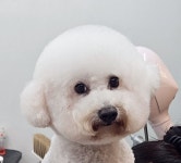 개예쁨주의