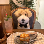 몽몽베베