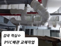 다고쳐
