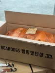 베어캠프캠핑연구소 | 베어독스 캠핑