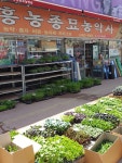 흥농종묘농약사