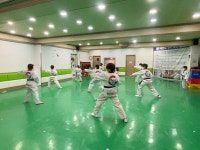 호랑이태권도