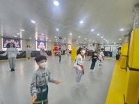 용인대 타이거즈 태권도