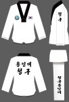 용인대석사청구태권도장