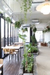 카페 플로라운지