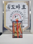 도마효태권도
