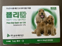 진약국