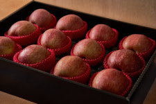 부경농산 용문시장점