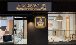 캣스토리 고양이분양 일산본점