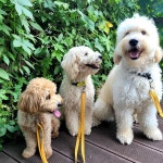 바우라움 수원신갈캠퍼스