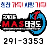 무혼국가대표MAS태권도장