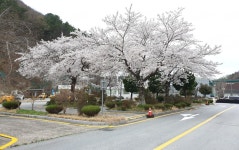 신진자동차운전전문학원