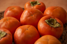 부경농산 용문시장점