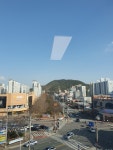 365매일한방병원