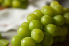 부경농산 용문시장점