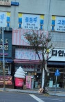 달빙스