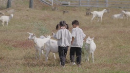 희망씨앗농장 영농조합법인