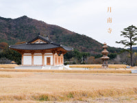 월남사