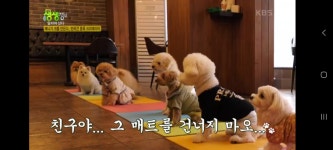 아껴줄개