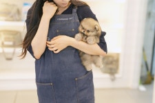 드림독 강아지분양 안심분양센터 천안불당점