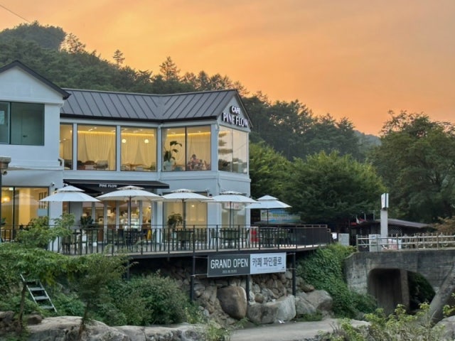 파인플로