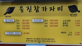 울진참가자미