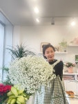 썬플라워