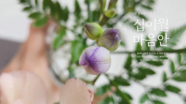 마음안 심리상담소