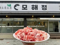 모해정