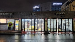 디테일러 윙