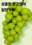 포동포도농장