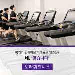 보라휘트니스