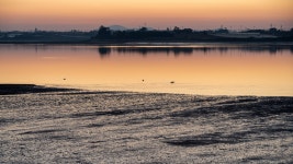 애모시옹풀빌라