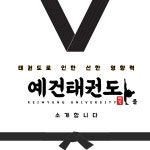 예건태권도