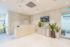 닥터지치과의원