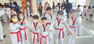 참교육타이거태권도
