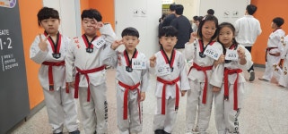 참교육타이거태권도
