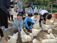 드림태권도