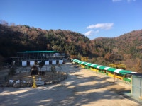 여수아기동물농장