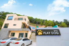 플레이독애견풀빌라