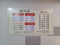 배가네
