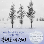 베스트투어 여행사