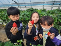 국가대표단국대상무태권도합기도