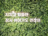 레지던스여유