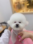 사르르몽몽