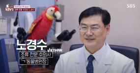 고려종합동물병원