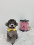 사르르몽몽